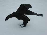 Flight From the Snow